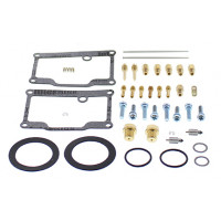 CARBURETOR REBUILD KIT
