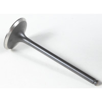 BLACK DIAMOND INTAKE VALVE