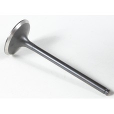 BLACK DIAMOND INTAKE VALVE BLACK DIAMOND INTAKE VALVE