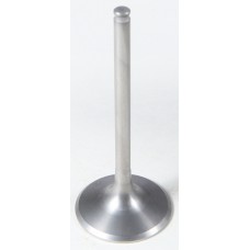 INTAKE TI VALVE