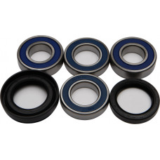WHEEL BEARING & SEAL KIT