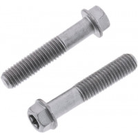 EURO TORX FLANGE BOLT 8X.1.25X40MM 10/PK