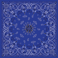 BANDANNA NAVY PAISLEY