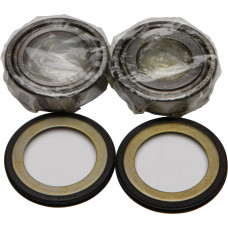 STEERING BEARING/SEAL KIT