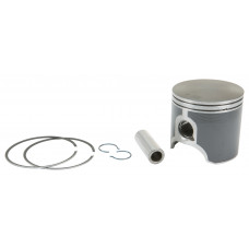 PISTON T-MOLY DOUBLE RING S-D