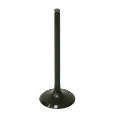 INTAKE VALVE