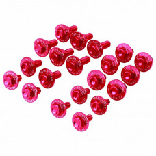 ALUMINUM BOLT KIT RED ALUMINUM BOLT KIT RED