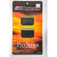 MOTORCYCLE PRO REEDS
