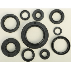 OIL SEAL SET