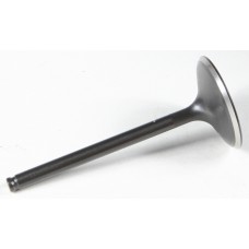 BLACK DIAMOND INTAKE VALVE