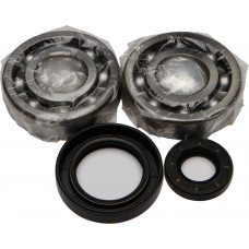 CRANKSHAFT BEARING/SEAL KIT