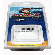 CARBURETOR REBUILD KIT