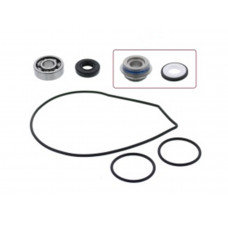 WATER PUMP REPAIR KIT YAM