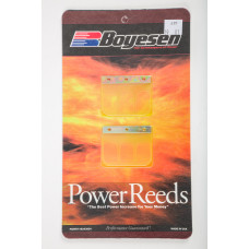 MOTORCYCLE REEDS