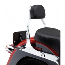 MINI SISSY BAR CHROME FLH/FLT 07-17