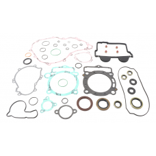 COMPLETE GASKET SET WITH OIL SEALS