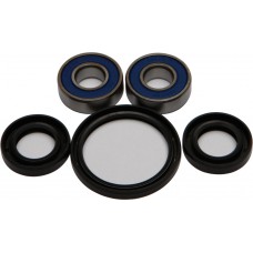 WHEEL BEARING & SEAL KIT