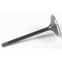 BLACK DIAMOND INTAKE VALVE