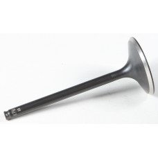 BLACK DIAMOND INTAKE VALVE
