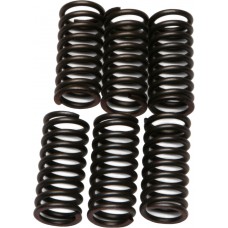 CLUTCH SPRINGS CSK24