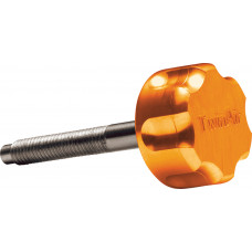 AIR FILTER BOLT