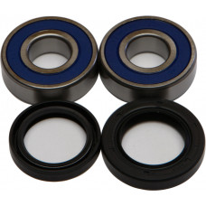 WHEEL BEARING & SEAL KIT
