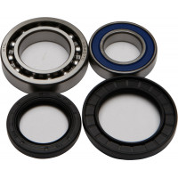 WHEEL BEARING & SEAL KIT