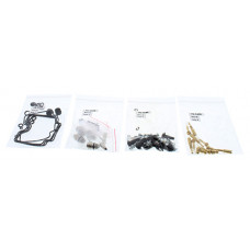 BIKE CARBURETOR REBUILD KIT