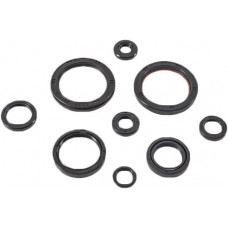 OIL SEAL SET