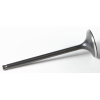 BLACK DIAMOND INTAKE VALVE