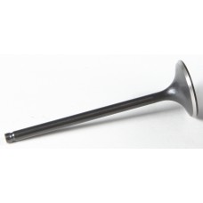 BLACK DIAMOND INTAKE VALVE