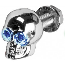 LIGHTED SKULL LIC PLATE SCREW BLUE