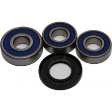 REAR WHEEL BEARING/SEAL KIT