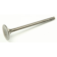 EXHAUST VALVE